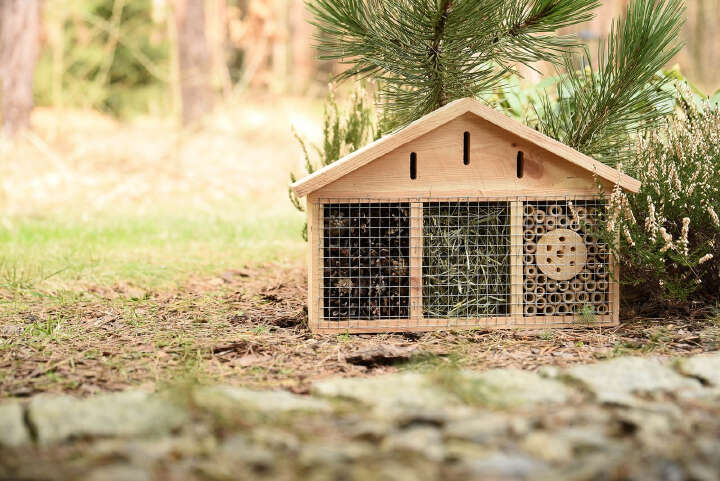 PATKAR Insektenhotel